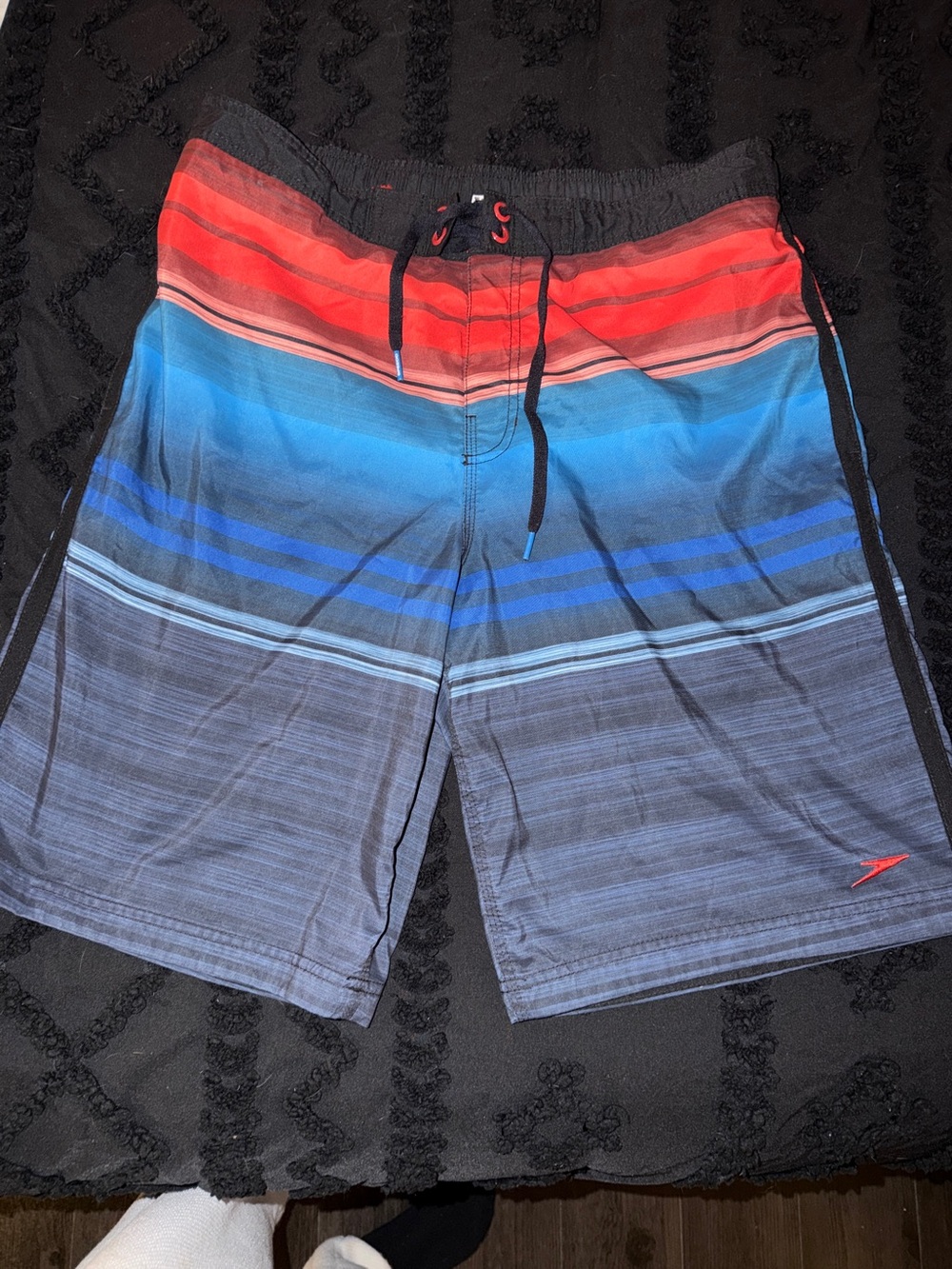 Speedo Men's Gradient Stripe Swim Trunks